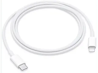 Cavo da USB C a Lightning Apple