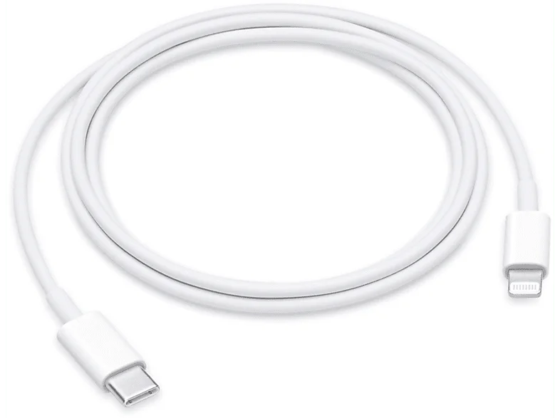 Cavo da USB C a Lightning Apple