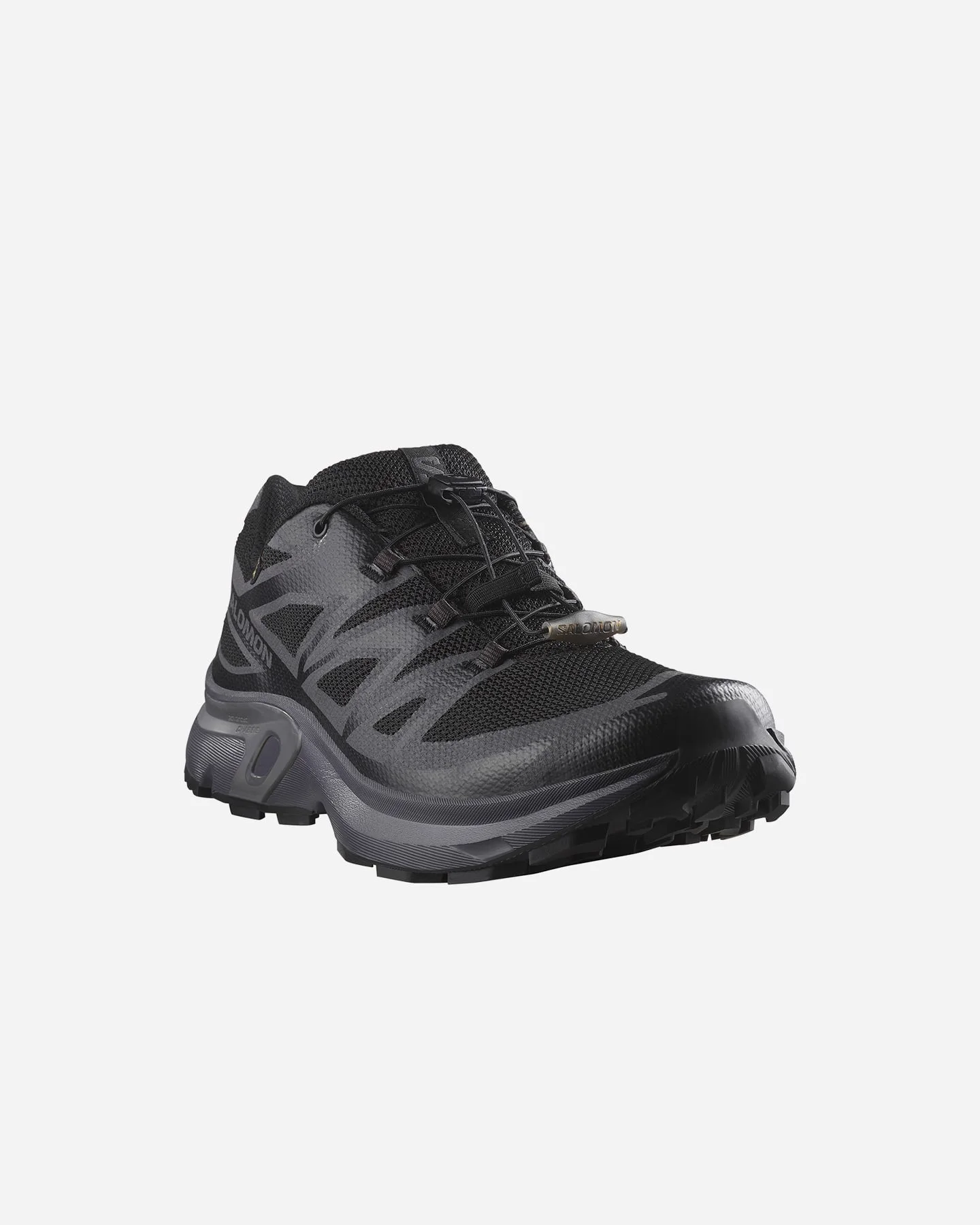 Salomon Xt-evr Gtx M - vista 2