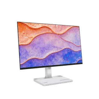 Lenovo L24D-4C FHD Monitor con Docking USB-C