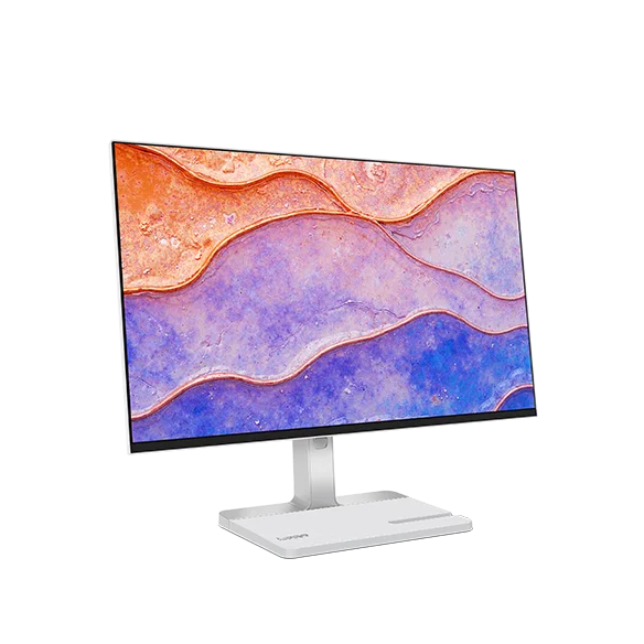 Lenovo L24D-4C FHD Monitor con Docking USB-C