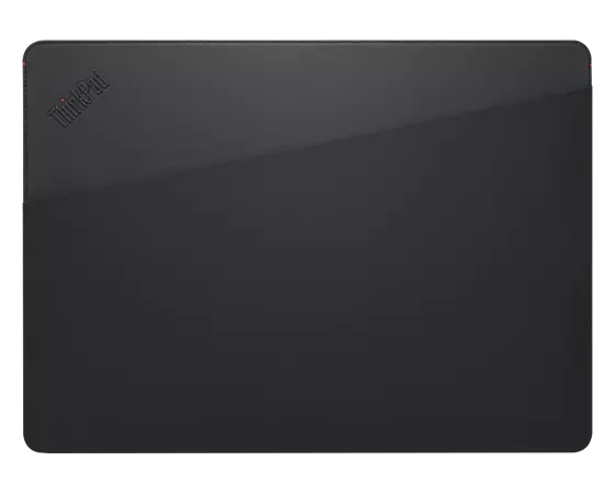 Lenovo Custodia ThinkPad Professional da 14"