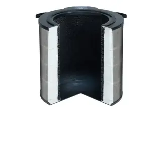 Filtro per purificatore aria Electrolux EFDCLN4E