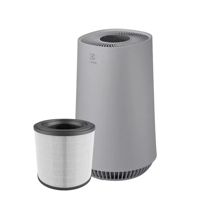 Filtro per purificatore aria Electrolux EFFCAR2 - vista 8