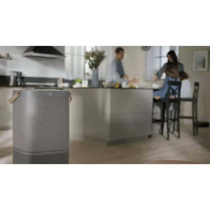 Filtro per purificatore aria Electrolux EFDCAR4 - vista 4