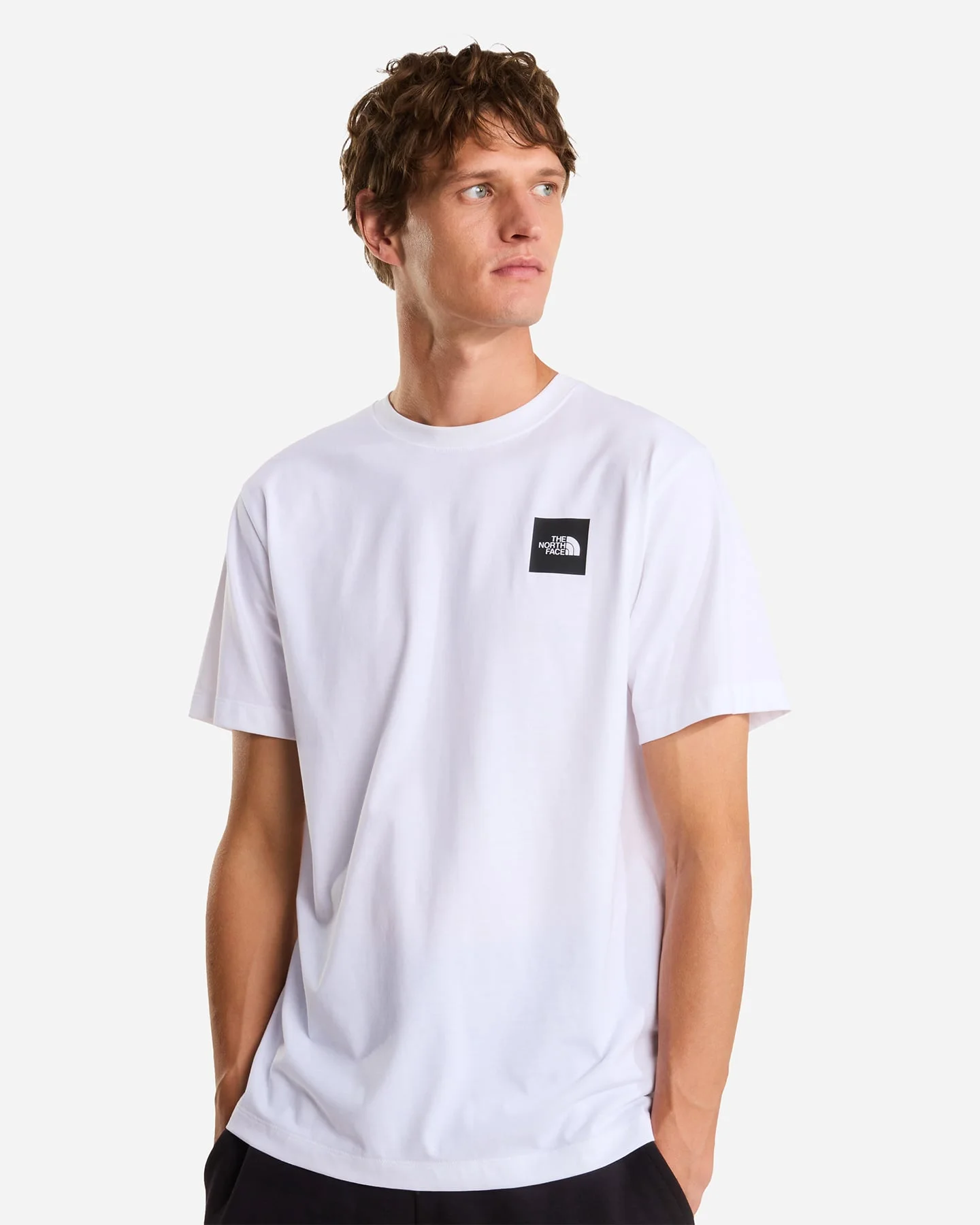 The North Face Evolution Box Half Dome M - T-shirt - Uomo - vista 3
