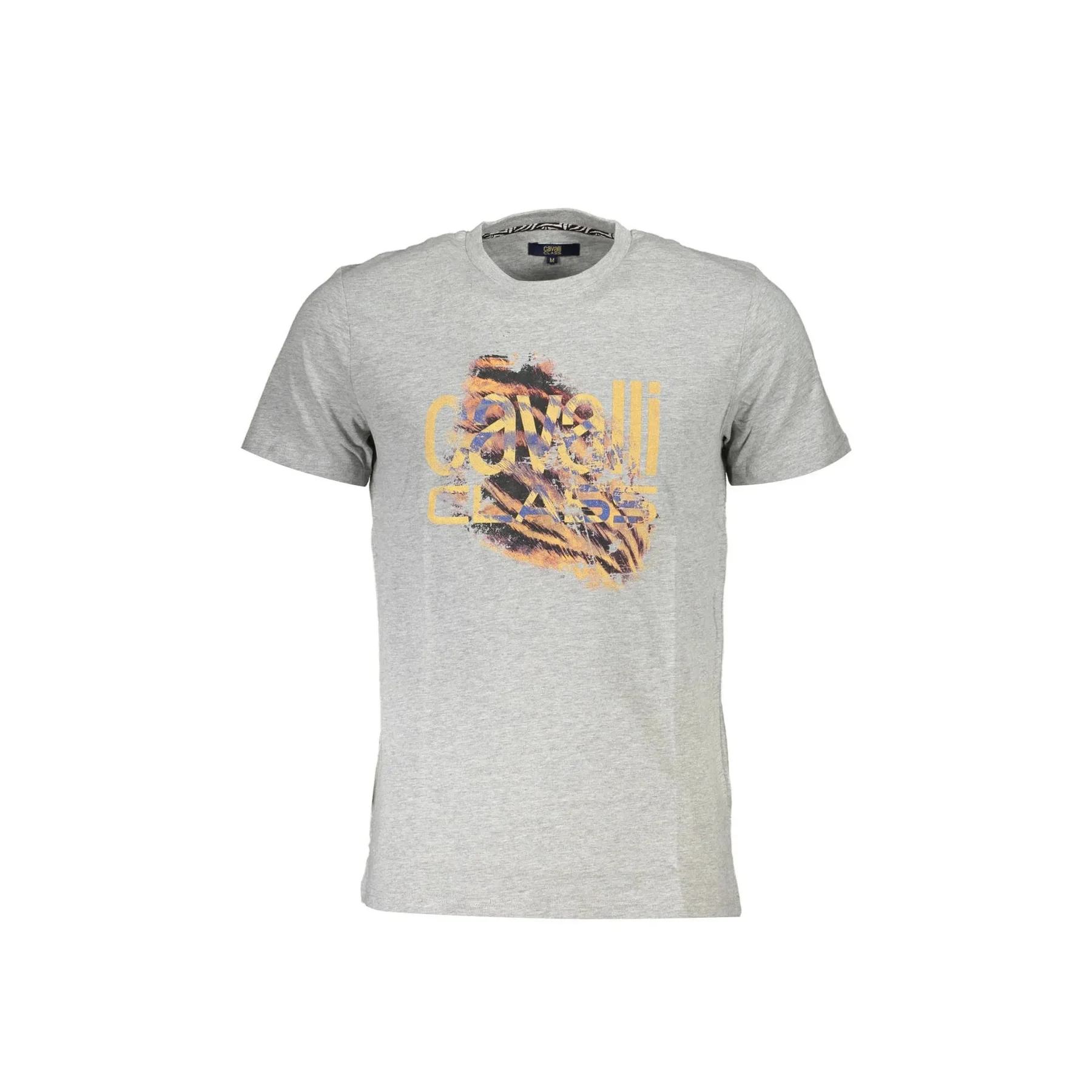 Cavalli Class T