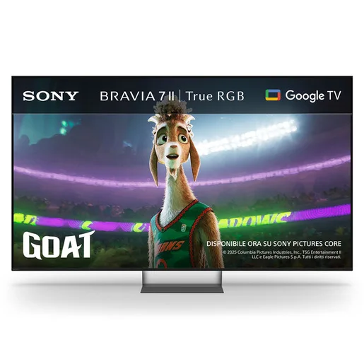 Sony 55 Bravia 7 II
