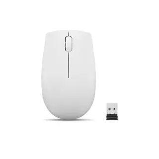 Lenovo Mouse Wireless 300 Compatto