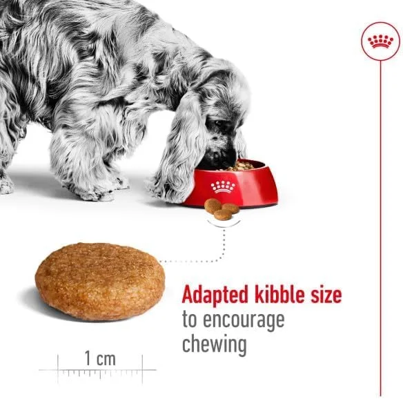 Royal Canin Medium Adult - vista 4